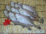 干しカレイ　大１０尾